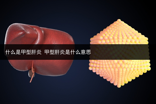什么是甲型肝炎 甲型肝炎是什么意思