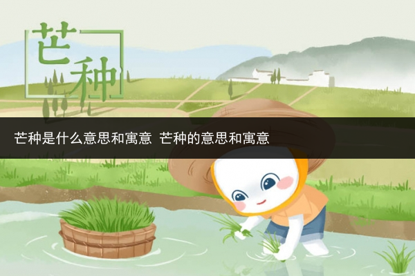 芒种是什么意思和寓意 芒种的意思和寓意