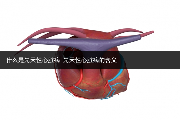 什么是先天性心脏病 先天性心脏病的含义