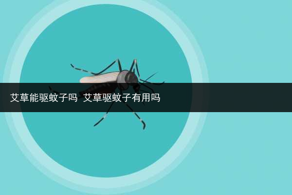 艾草能驱蚊子吗 艾草驱蚊子有用吗