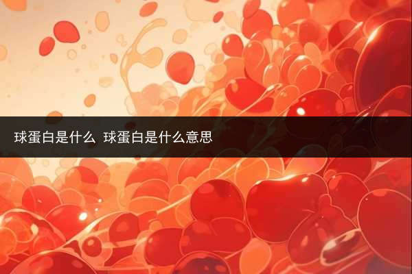 球蛋白是什么 球蛋白是什么意思