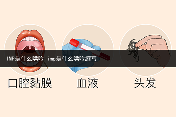 IMP是什么嘌呤 imp是什么嘌呤缩写
