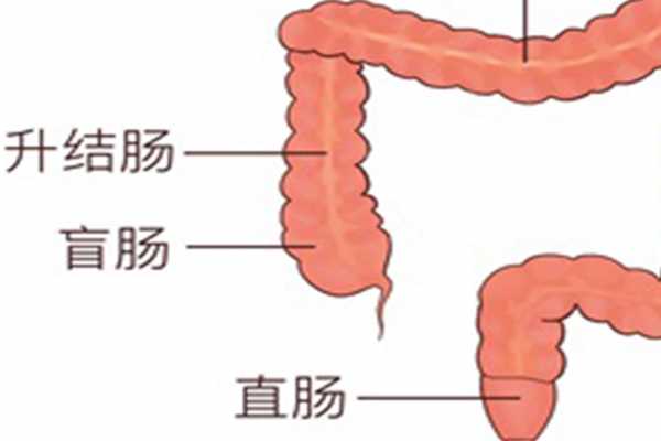 肠鸣是怎么回事 肠鸣是怎么回事老咕噜咕噜叫