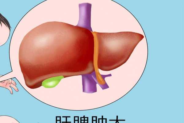 春季如何養(yǎng)肝護(hù)肝 春季養(yǎng)肝護(hù)肝小方法
