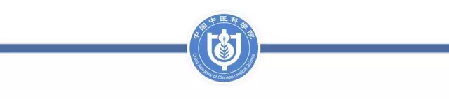 教您鑒別真假艾條！