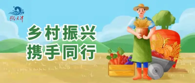 鄉村振興攜手同行|甘肅特色產品——艾條