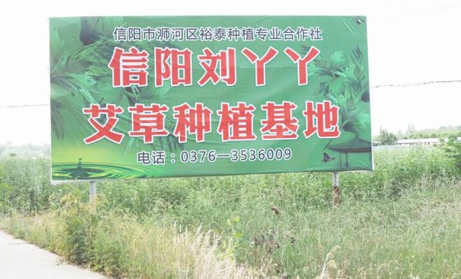 信陽劉丫丫電子商務(wù)有限責任公司