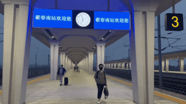 我去蘄春找真艾，是不是好艾，要做好這7看