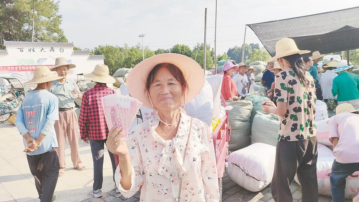 湖北蘄陽本艾科技有限公司收購蘄艾儲備艾產(chǎn)品原材料