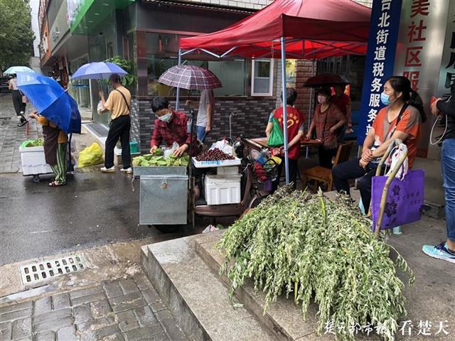 10元一把艾草賣斷貨，野生艾草或成武漢又一特色產(chǎn)業(yè)