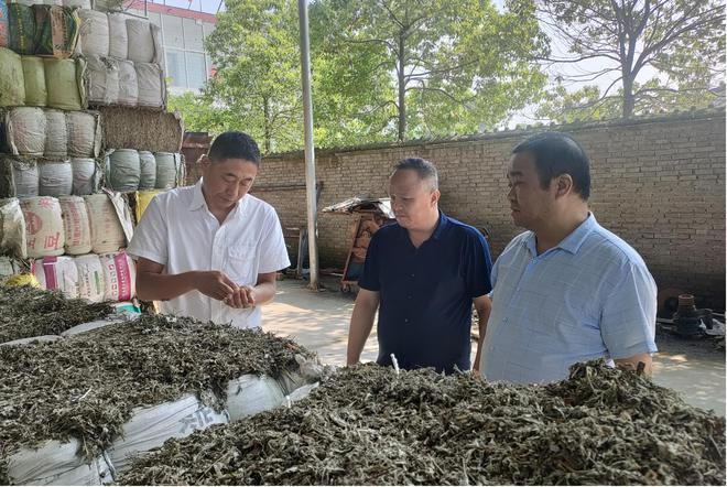 主動(dòng)洽談對(duì)接 助力臥龍艾制品出口歐盟