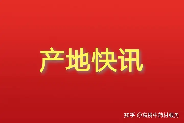 高鹏说药材：2022年3月21日各产区热点药材品种收购价格行情