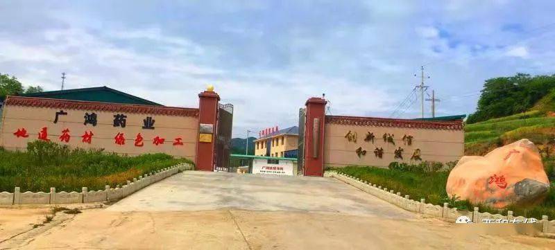 西和縣百草堂中藥材有限公司中藥村及農(nóng)產(chǎn)品促銷活動……