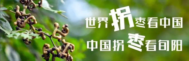 陜西多地發(fā)布由西安來返最新政策！|| 897關(guān)注