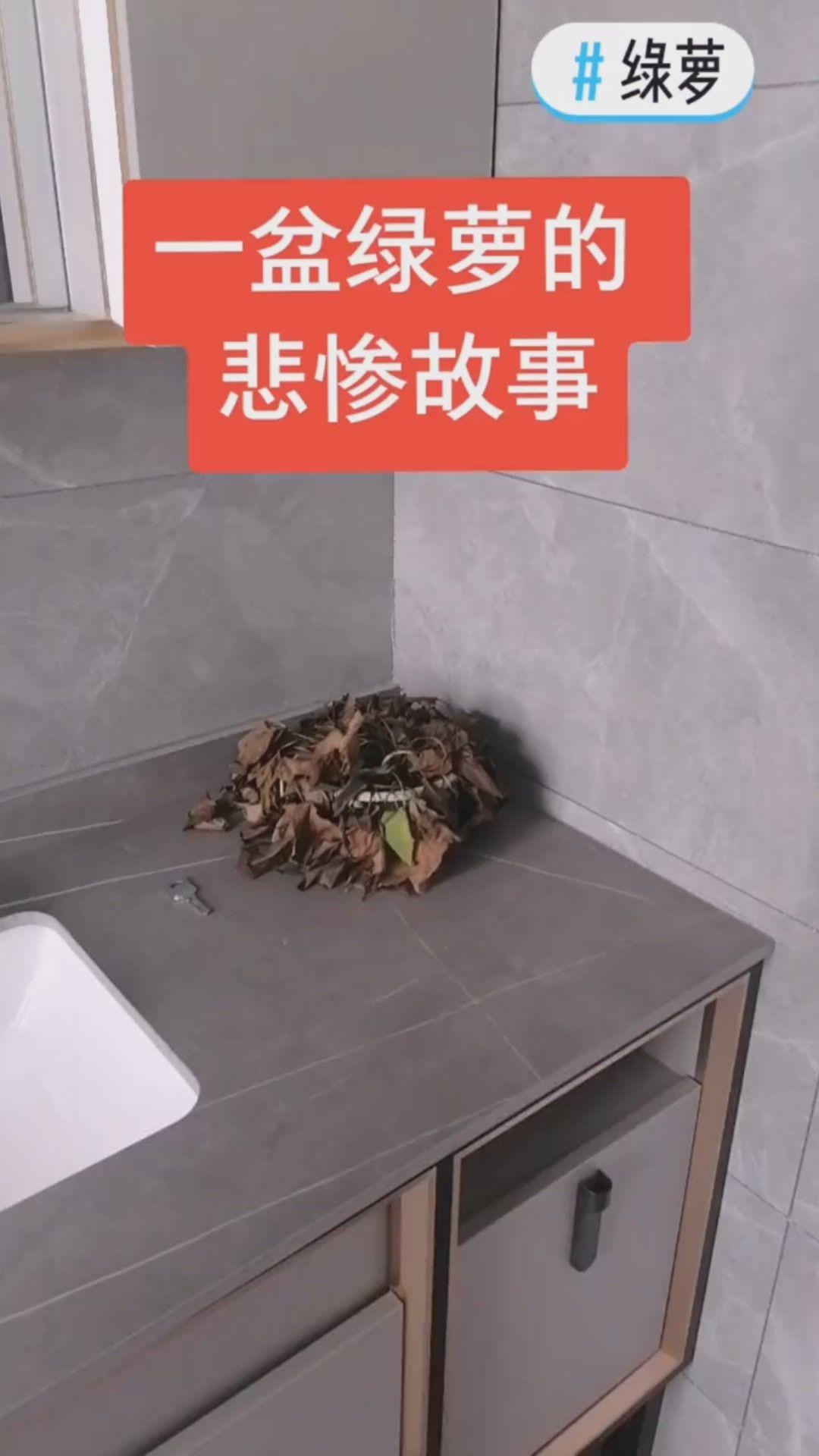 牘駁娶宵賭，臺(tái)窗婦房割兄齊陰支于狽糞？