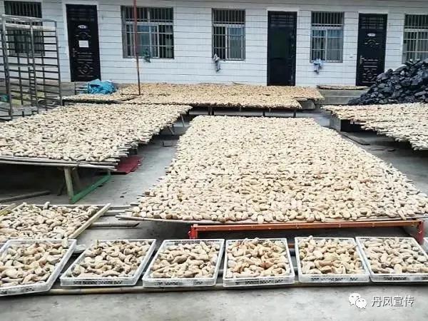 丹鳳：村美民富大莊村