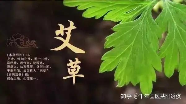 买艾柱，90%的人都容易忽视的致命细节！打死都不要这么干！